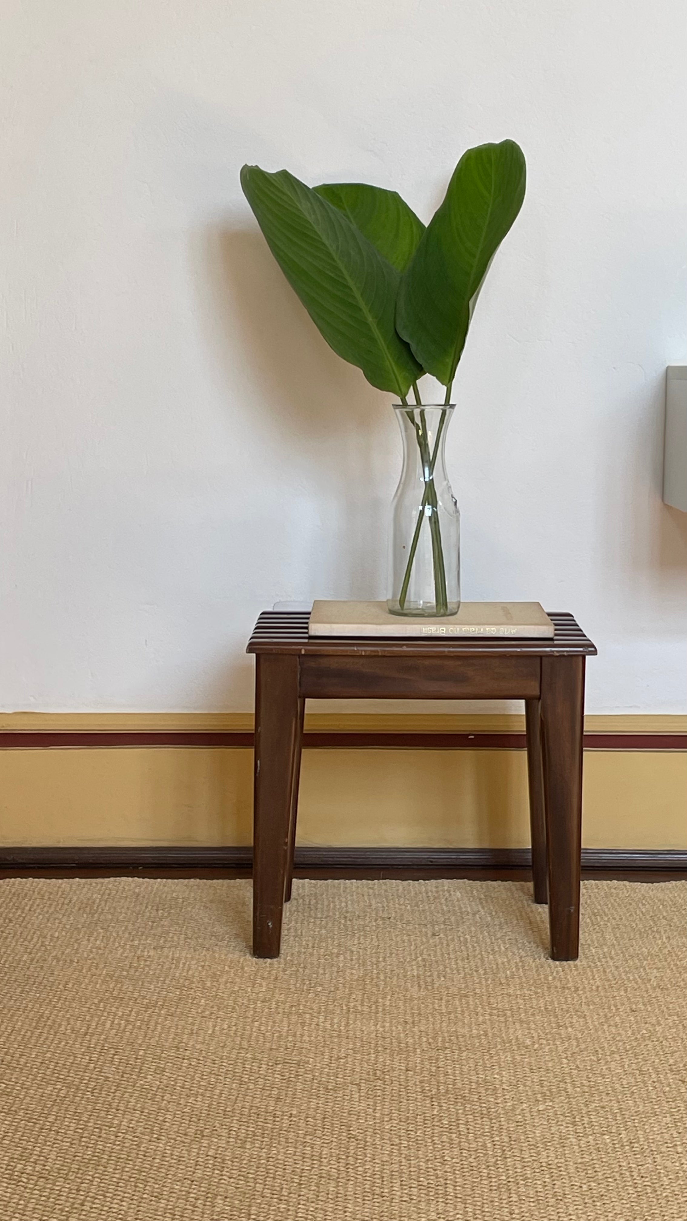 Tapete de Sisal Tugalia 100% Sisal Personalizável - Verte Tapetes